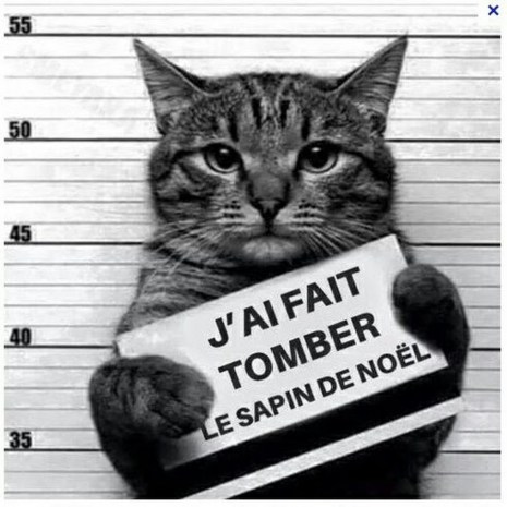 2e200a2993fdad43bbe0f367b3d11b21