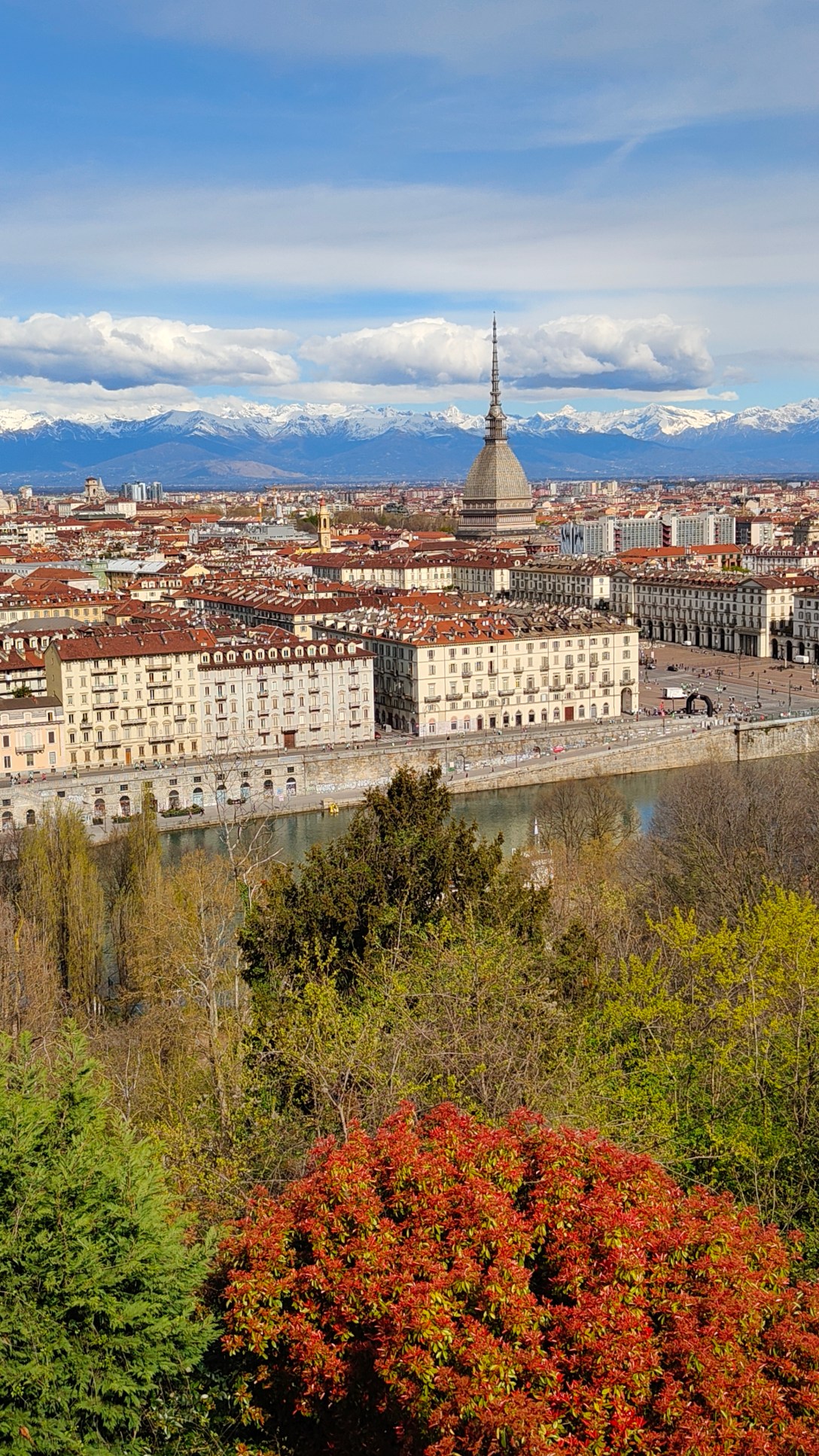 Vue sur la ville de Turin, la Mole et les Alpes en arrière plan.